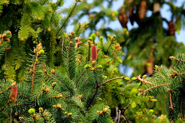 Image of a tree growing through technology, representing sustainable growth